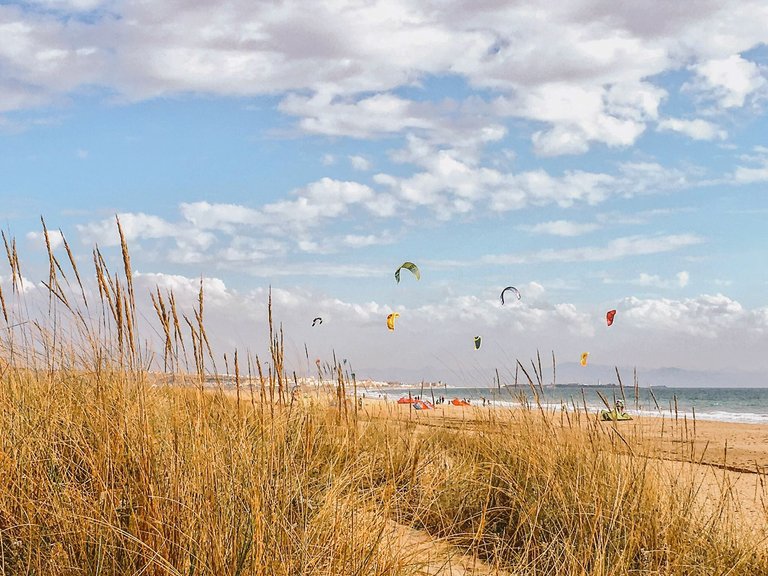 kite-hinter-den-duenen.jpg