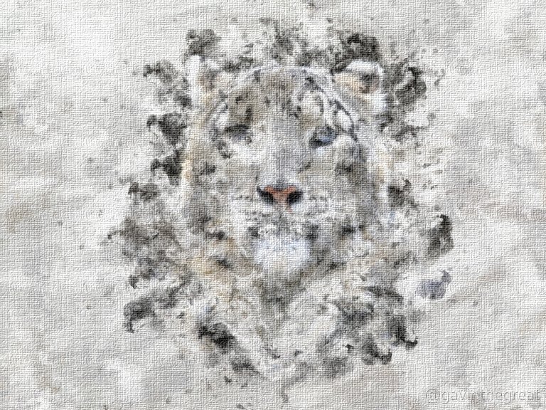 Snow Leopard Watercolor.jpg