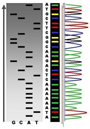 Radioactive_Fluorescent_Seq-.jpg