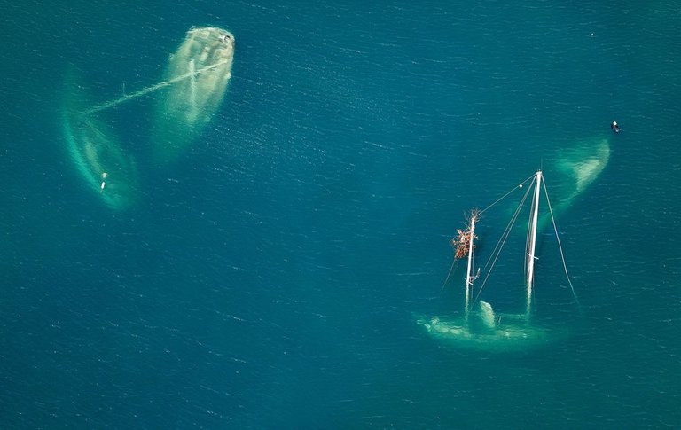 Vessels that sank during Hurricane Irma are seen in a Saint John bay.jpg