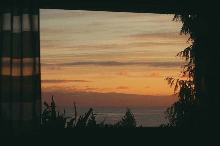 windowsunrise.jpg