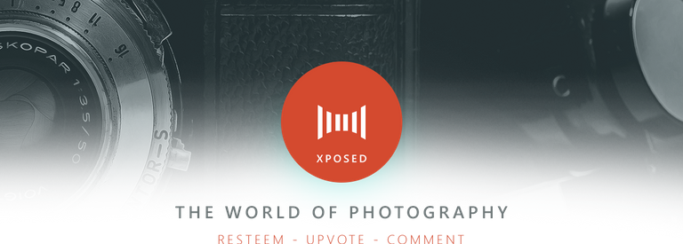 XPOSED on Steemit