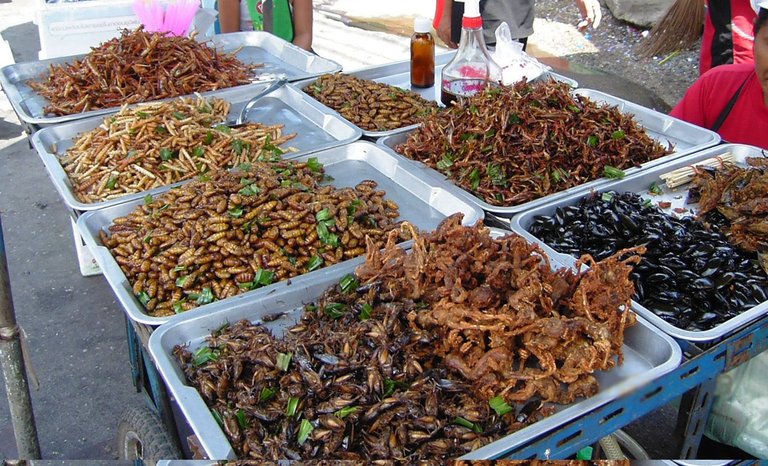 Insect_food_stall.JPG