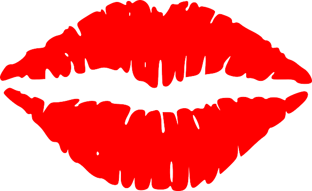 lips-145758_640.png