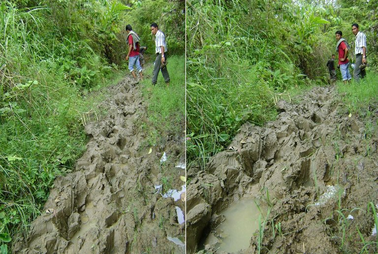 jejak kaki gajah3.jpg