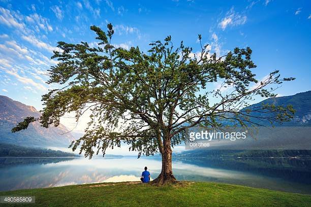 beauty-or-nature-8-under-the-tree.jpg