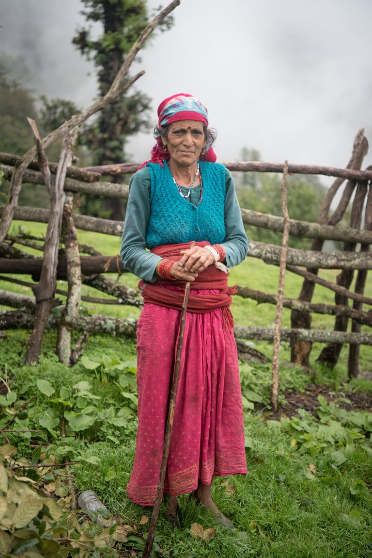 Dayara_bugyal_NKP_3534_20170717.jpg