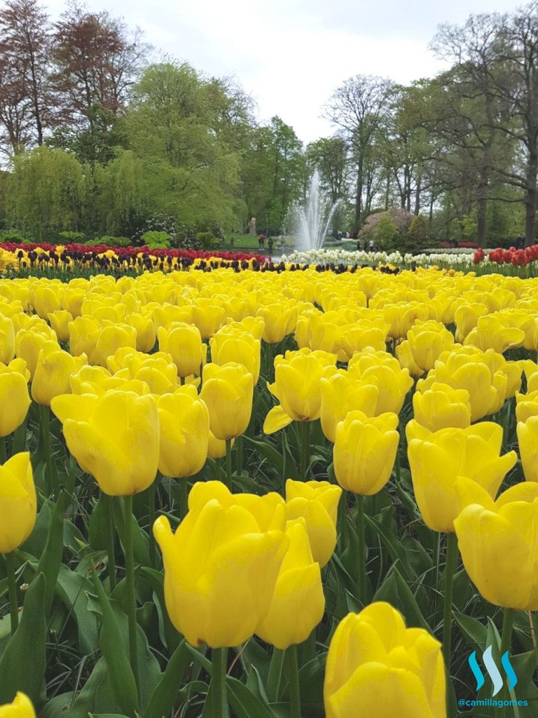 Keukenhof.jpeg