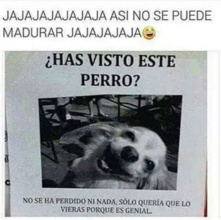 27acca84833b5f5a0bf05f693d57a422.jpg