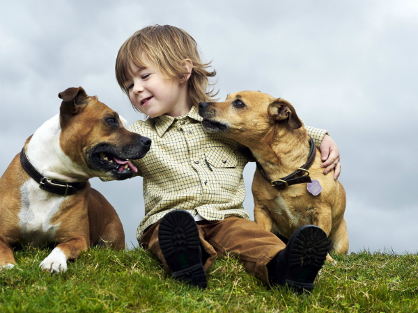 cuando-los-niños-qiueren-un-perro.png