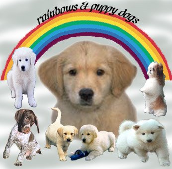 rainbowspuppies.jpg