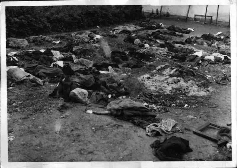 01941_Opfer_des_NKWD_im_Hof_des_Geheimpolizeigefängnisses_von_Lemberg_am_06.07.1941.jpg