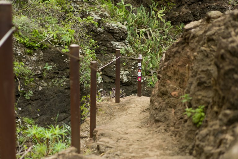 Tenerife day 6 Masca_90.jpg