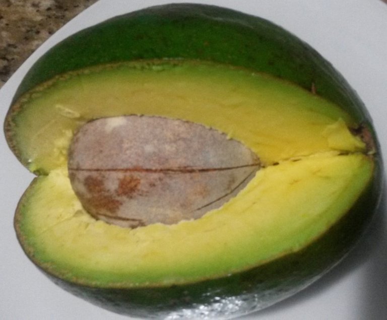 aguacate.jpg