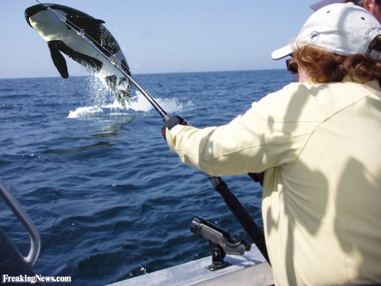 Fisherman-Catches-a-Whale--24756.jpg