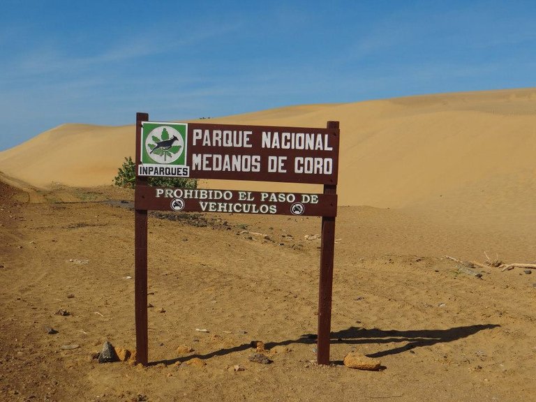 Parque_Nacional_Médanos_de_Coro 1.jpg