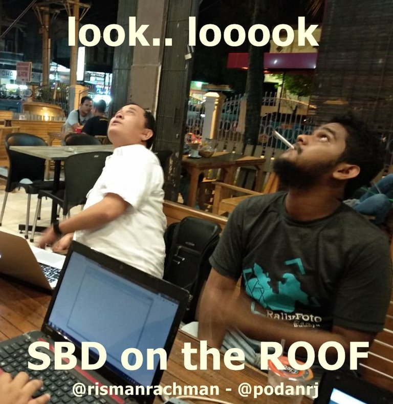 sbd on the roof.jpeg