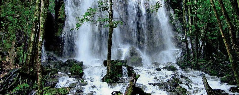 el-cielo-tamaulipas-portadant.jpg