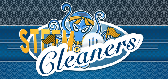 cleaners.PNG