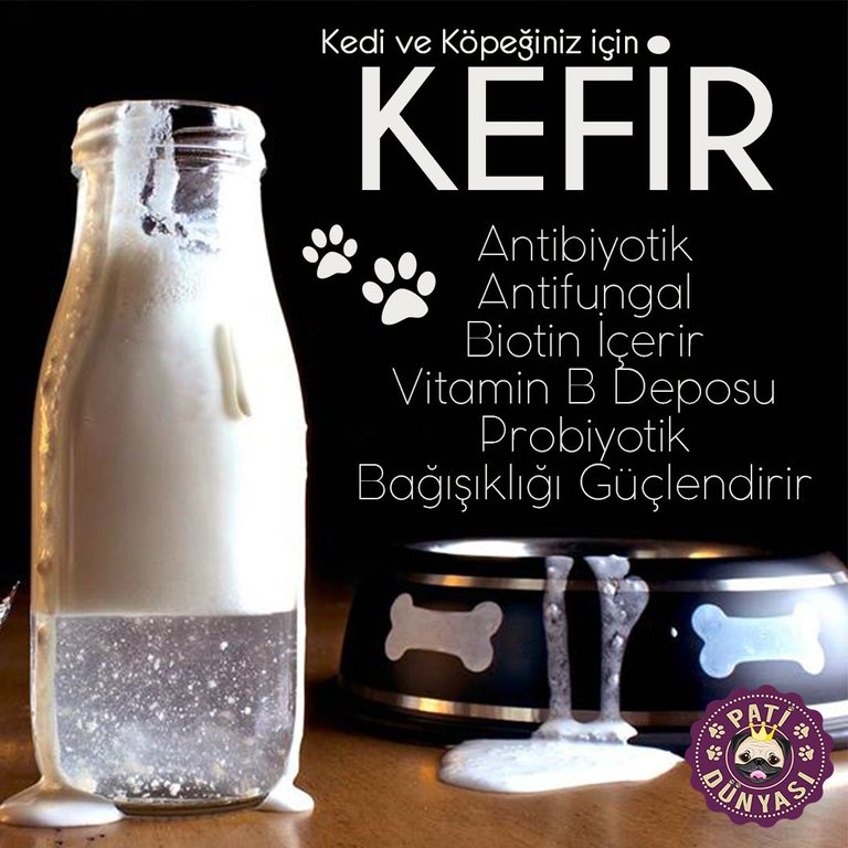 kefir.jpg