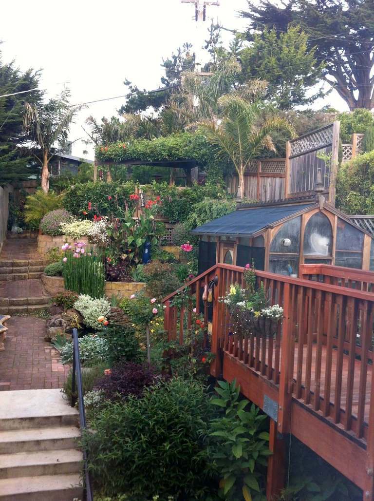 Backyard greenhouse.jpg