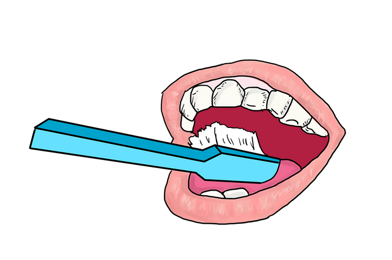 toothbrush-3297525_960_720.png