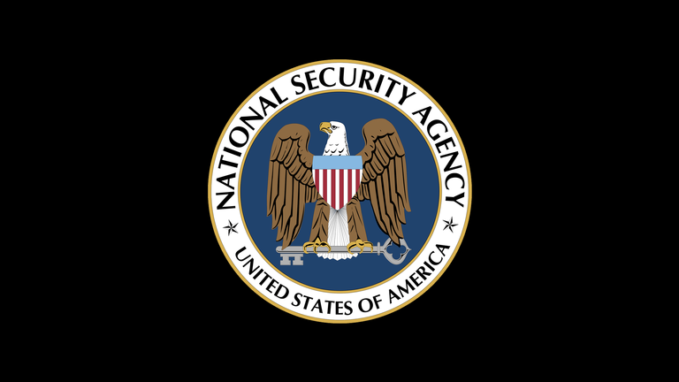 nsa_logo_wallpaper_by_mongoooo-d7ap02t.png