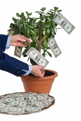 Money-Tree-iStock_000004720303XSmall.jpg