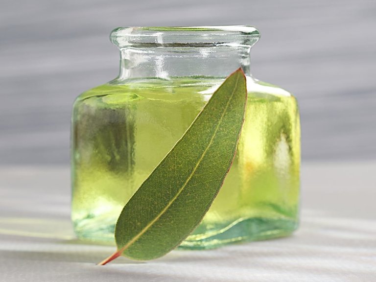 eucalyptusessentialoil.jpg