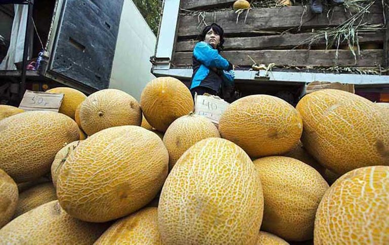 melones.jpg