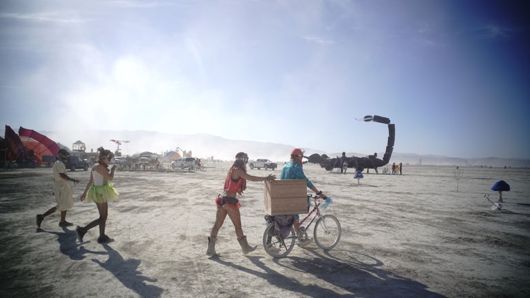 burningman8 (199).JPG