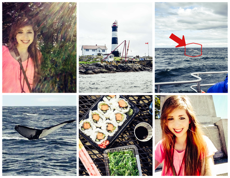BeFunky-collage (3).png