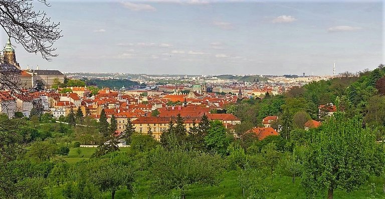 prague-1276205_960_720.jpg