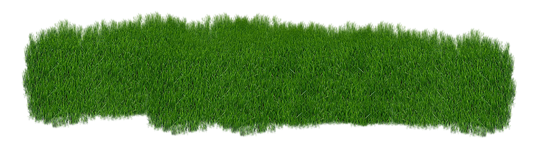 grass-2073071_960_720 copy.png