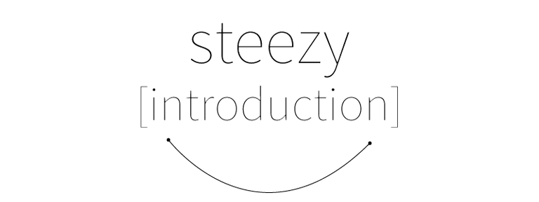 steezy[introduction].png