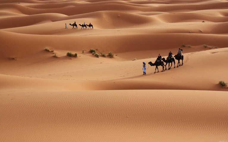 Sahara.jpg