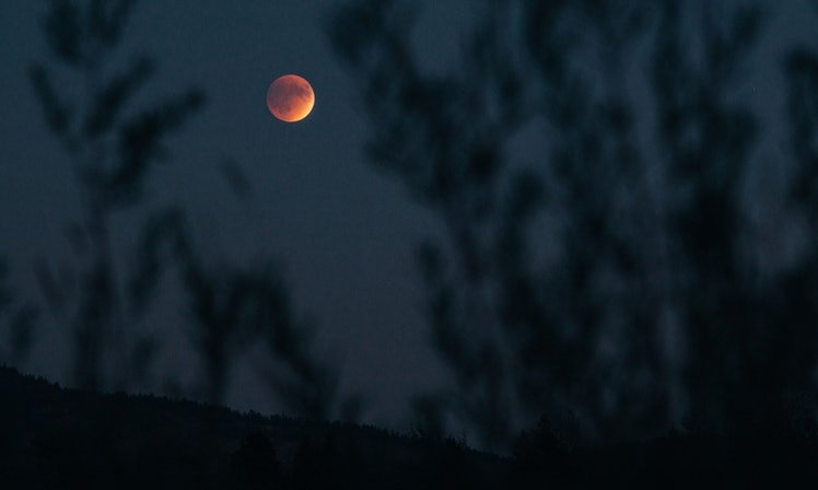 7384c5b2-1860-4159-9ba3-3749ef9b9a91-blood-moon-nighttime-dark-sky.jpg