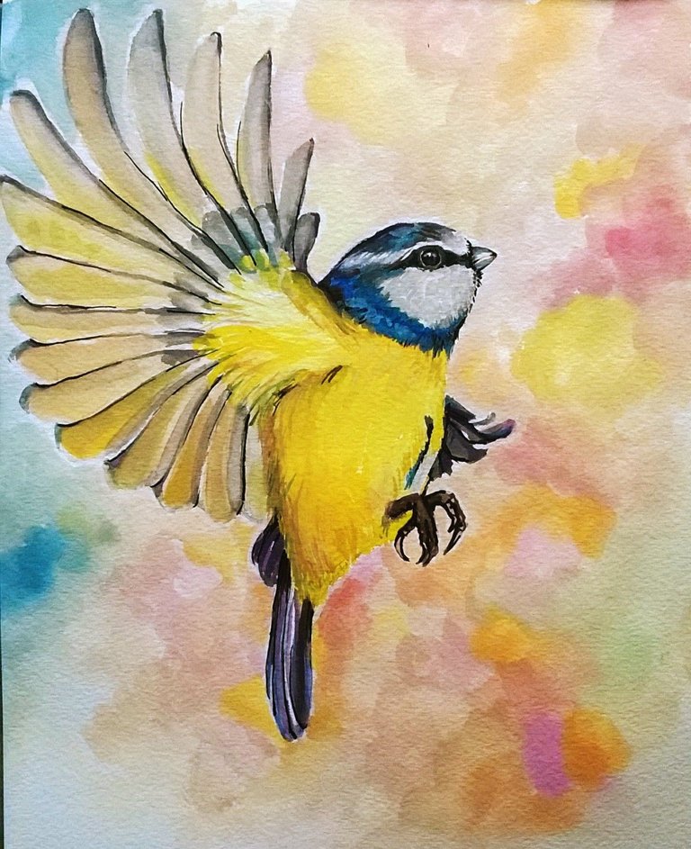 blue_tit_2_by_jyacini.jpg