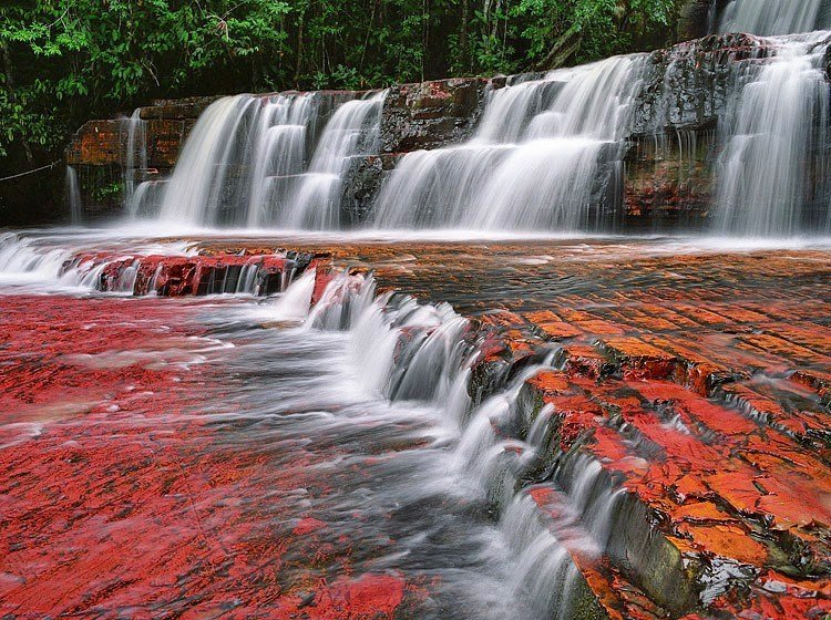 gran sabana 7.jpg