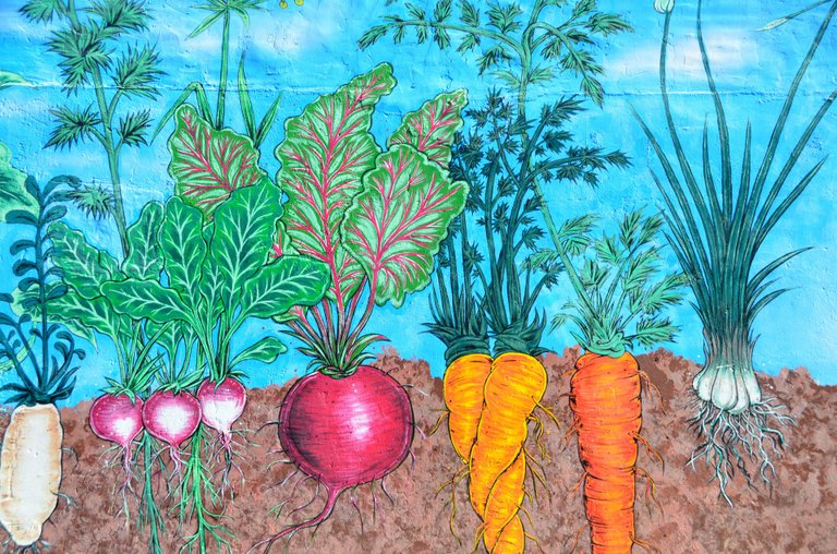 mural-of-garden-vegetables-1421502160idi.jpg