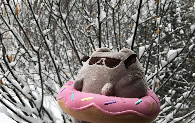 summer pusheen.jpg