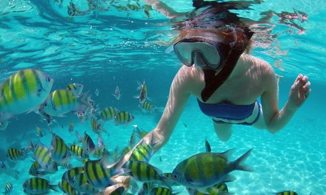 marine-park-snorkeling.jpg