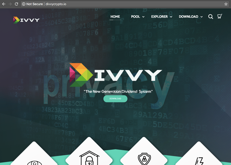 DIVVY Website screenshot