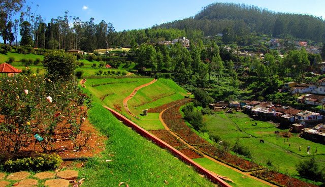 ooty-hill-view.jpg