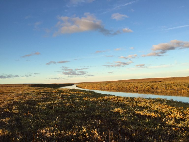 Uttukak River Area