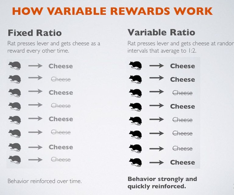 How-Variable-Rewards-Work-Jason-Shen1.jpg