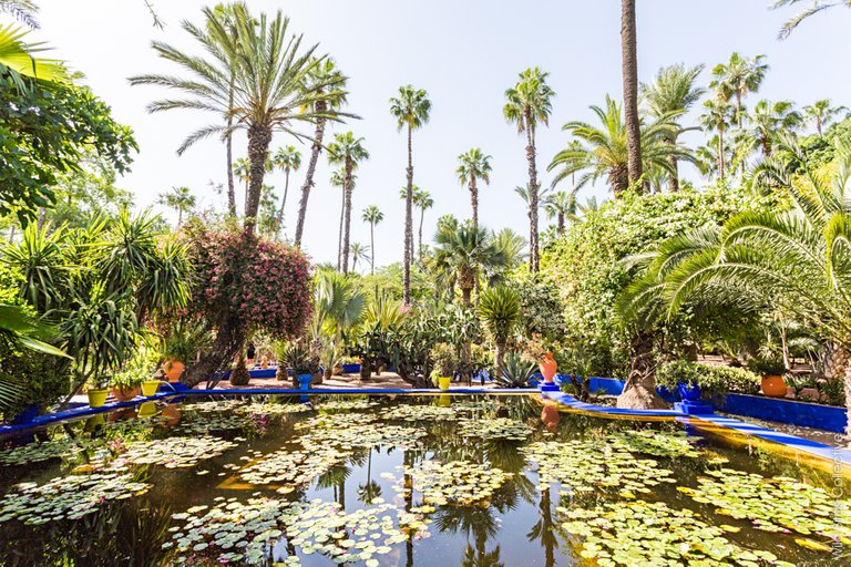 WBC-Maroc-Jardin-Majorelle-6.jpg