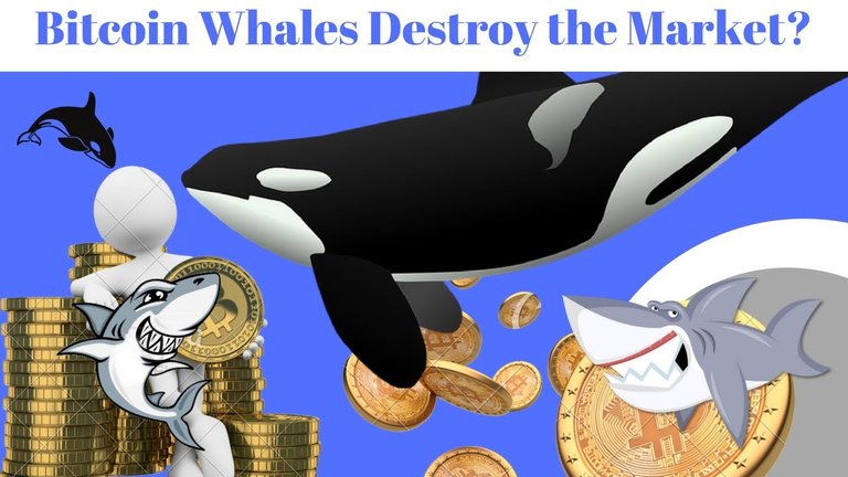 bitcoin-whales.jpg