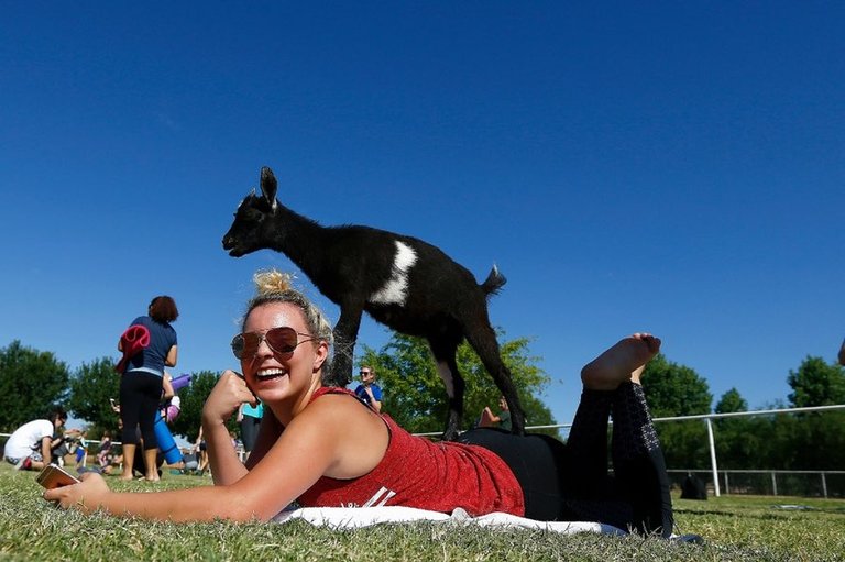 1495559363-Goat-Yoga-Arizona-Daily-LIfe.jpg