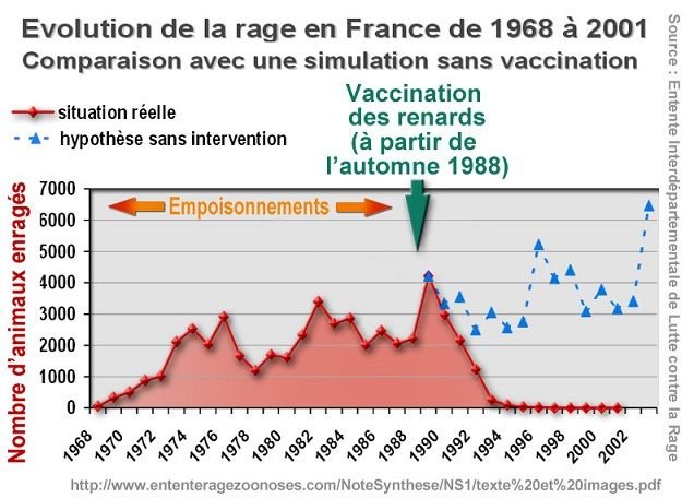 Rage_renards_empoisonnement_vaccination_1988.jpg